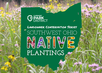 SW ohio native plantings